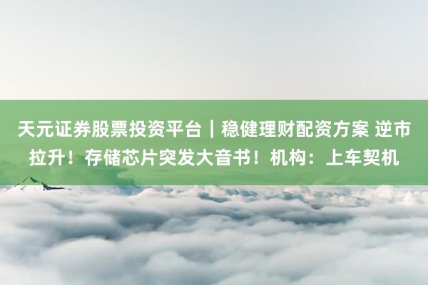 天元证券股票投资平台｜稳健理财配资方案 逆市拉升！存储芯片突发大音书！机构：上车契机